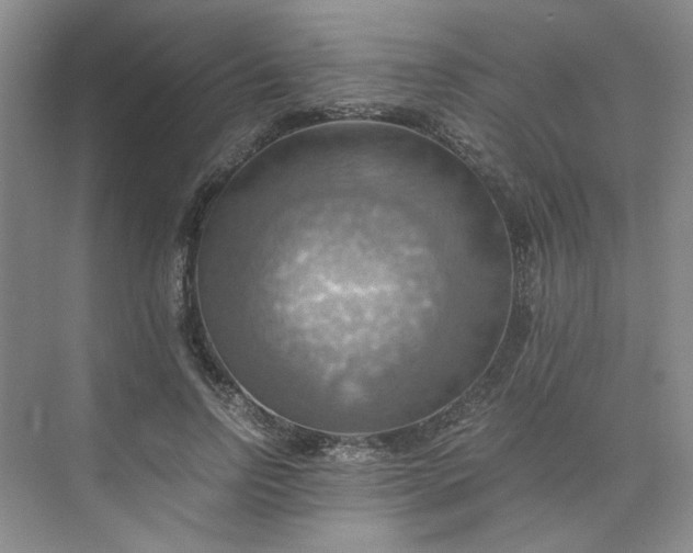 X0000075890742200609291705