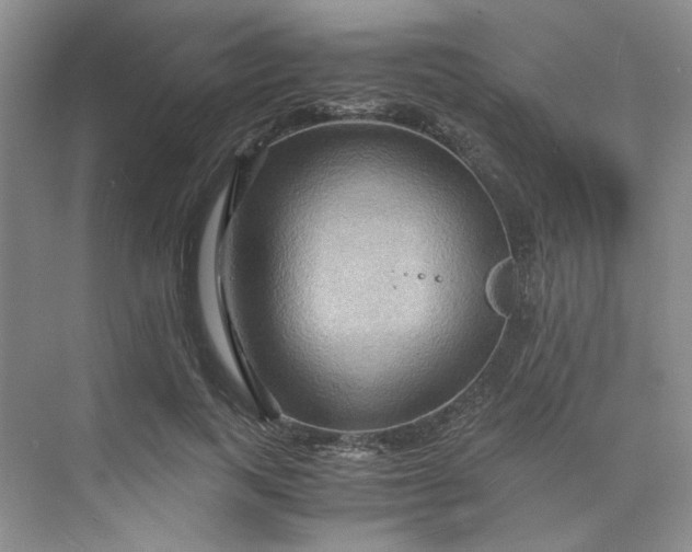 X0000075890743200609291705