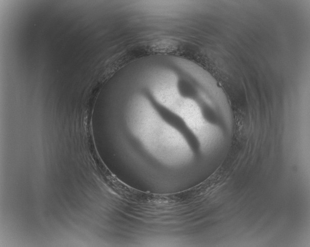 X0000075890745200609291705