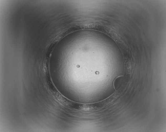 X0000075890746200609291705