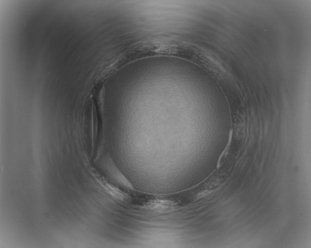 X0000075890748200609291705