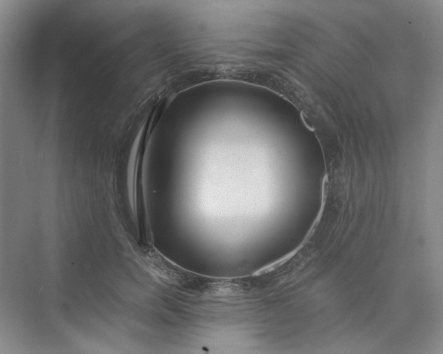 X0000075890750200609291705