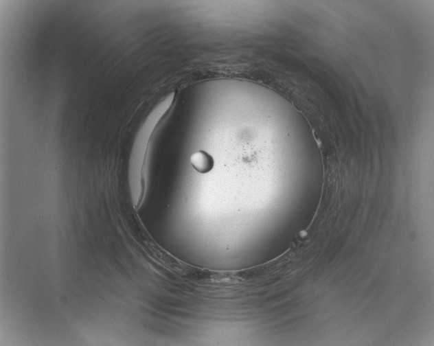 X0000075890752200609291705