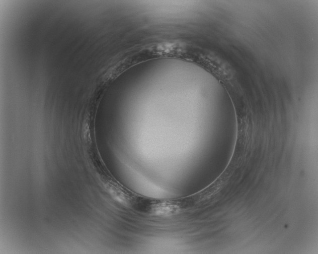 X0000075890754200609291705