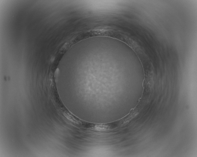 X0000075890758200609291705