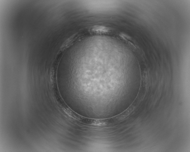 X0000075890760200609291705