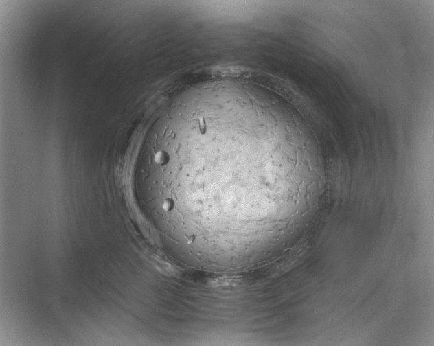 X0000075890761200609291705