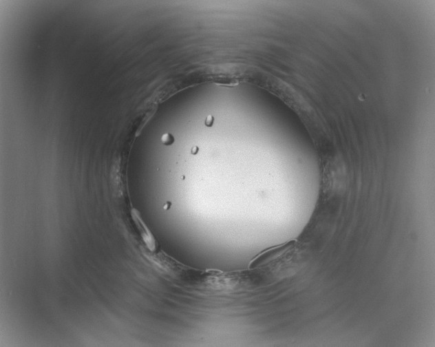 X0000075890764200609291706