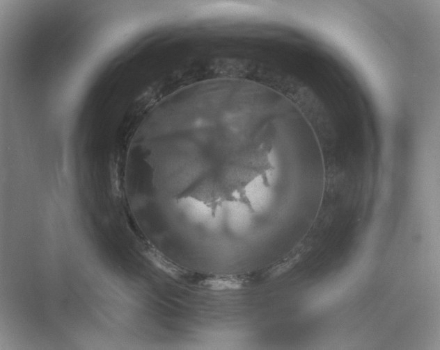 X0000075890765200609291706