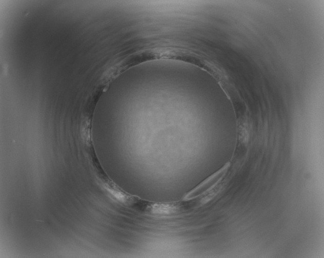 X0000075890766200609291706