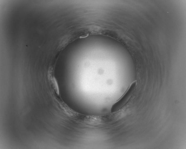 X0000075890768200609291706