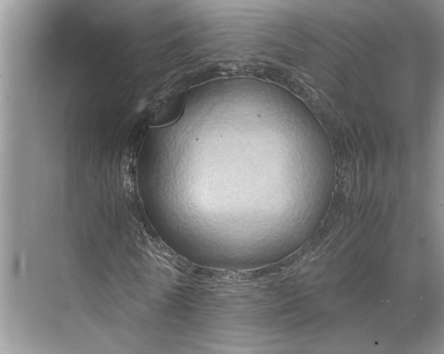 X0000075890770200609291705