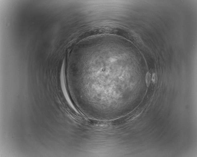 X0000075890771200609291705