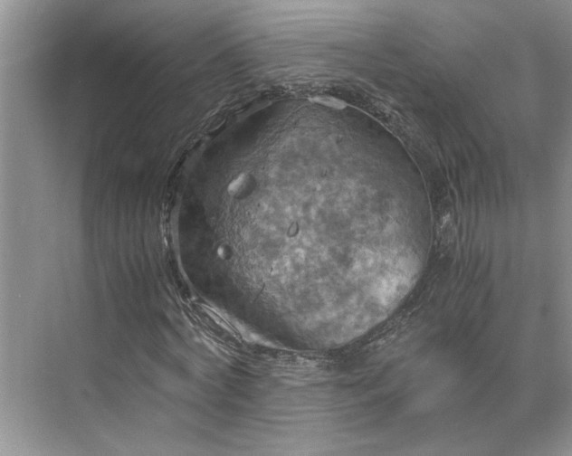 X0000075890772200609291705