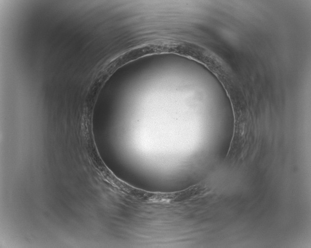 X0000075890773200609291705