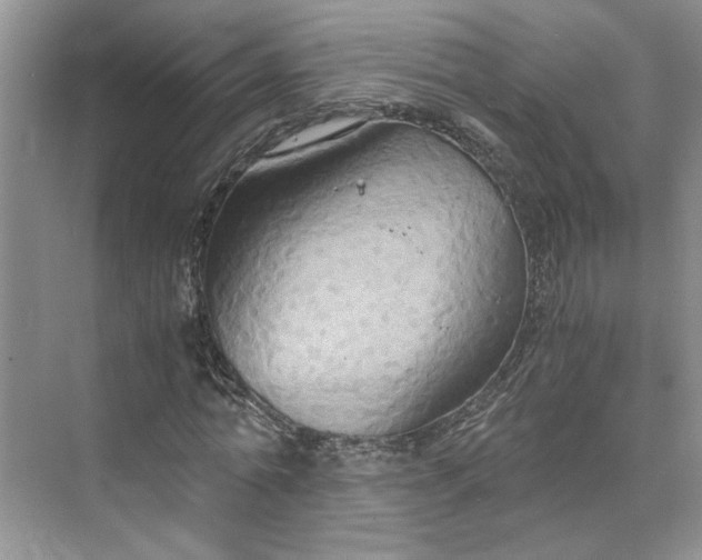 X0000075890774200609291705