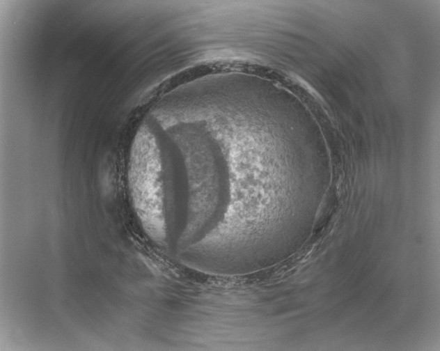 X0000075890775200609291705