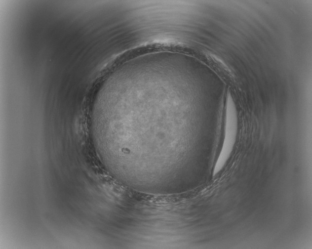 X0000075890776200609291705