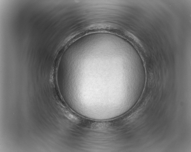 X0000075890778200609291705