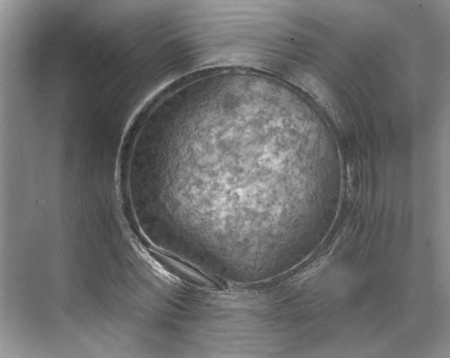 X0000075890780200609291705