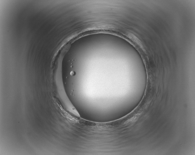 X0000075890781200609291705