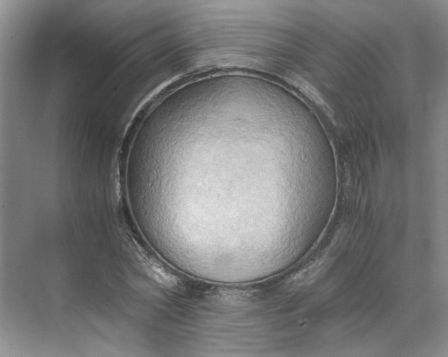 X0000075890782200609291705