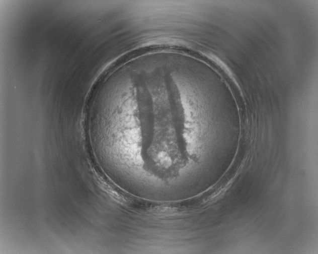 X0000075890783200609291705