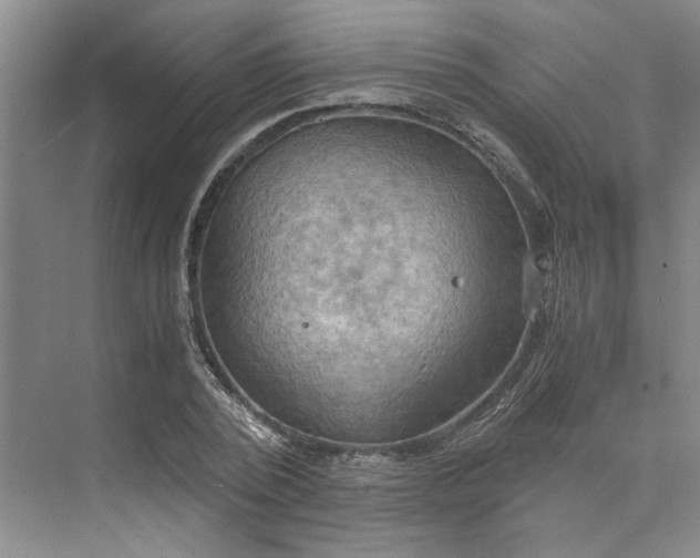 X0000075890784200609291705