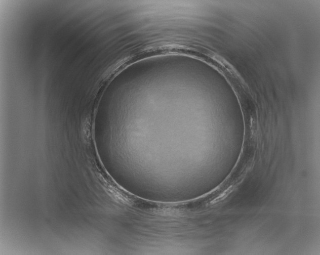 X0000075890785200609291704