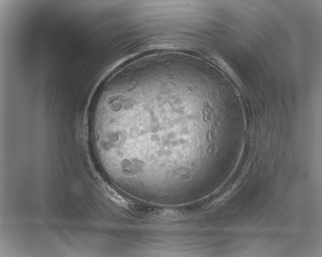 X0000075890787200609291704