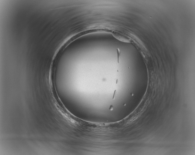 X0000075890788200609291704