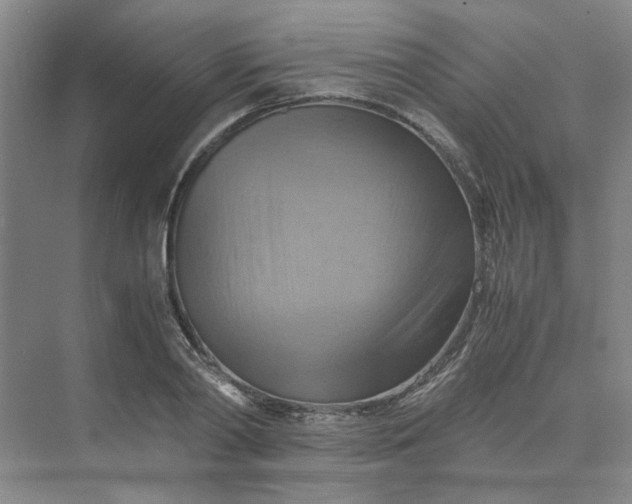 X0000075890790200609291704