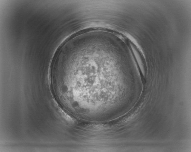 X0000075890791200609291704