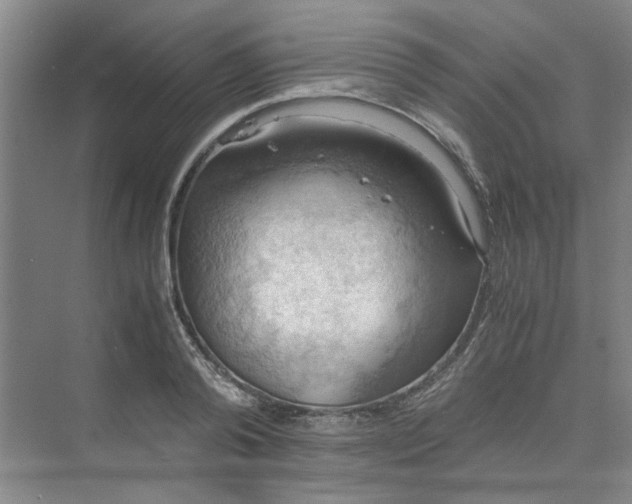 X0000075890792200609291704