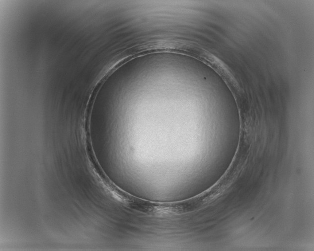 X0000075890794200609291704