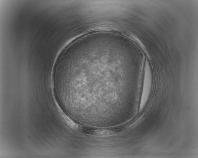 X0000075890795200609291704