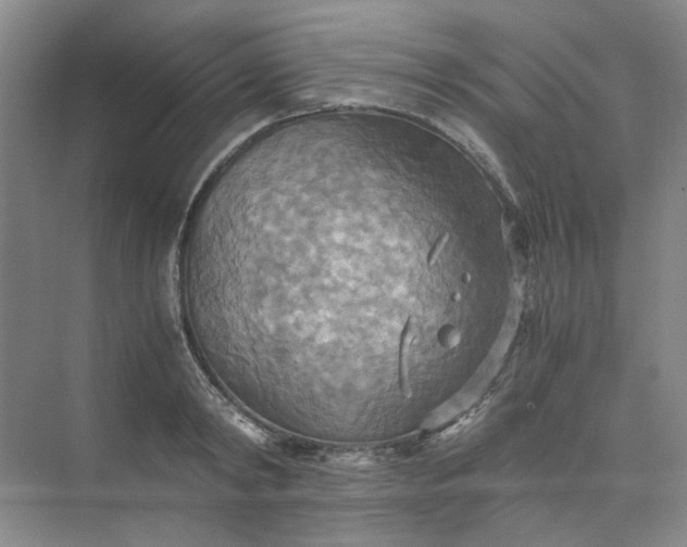 X0000075890798200609291704