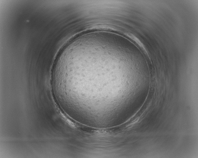 X0000075890799200609291704