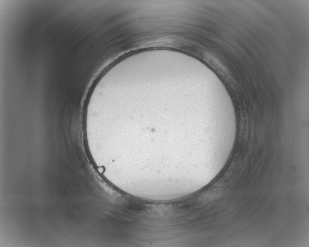 X0000075890800200609291704