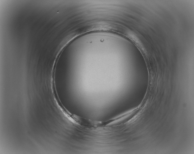 X0000075890802200609291704