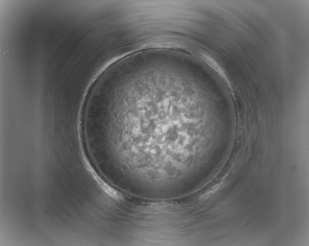 X0000075890803200609291704