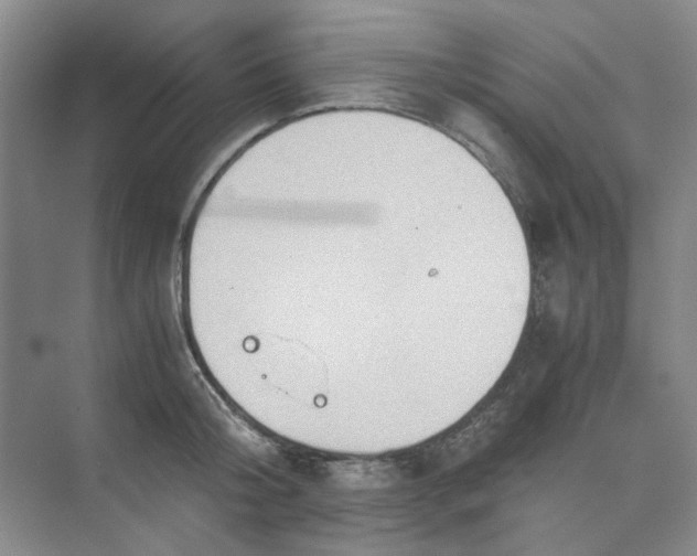 X0000075890804200609291704