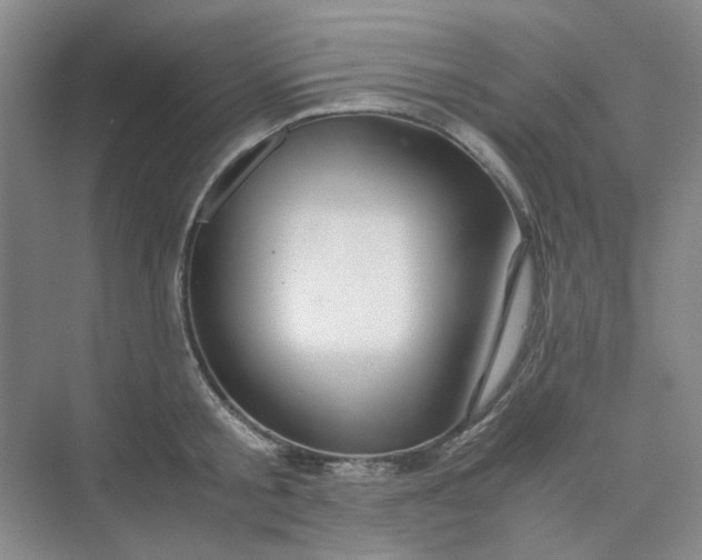 X0000075890805200609291704