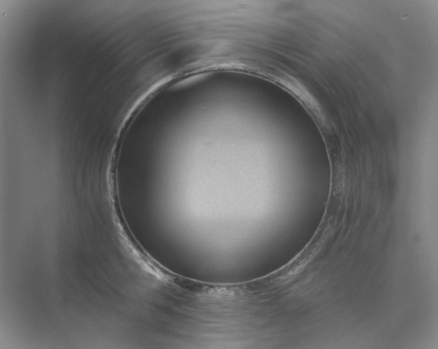 X0000075890806200609291704