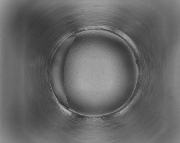 X0000075890809200609291704