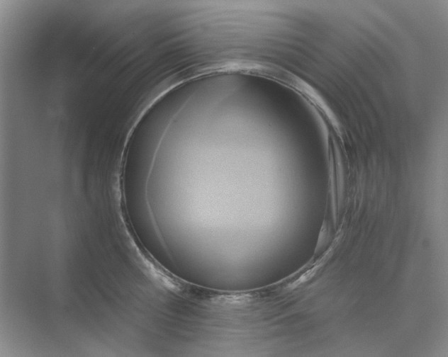 X0000075890810200609291704