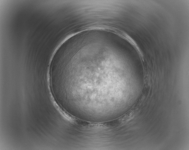 X0000075890811200609291704