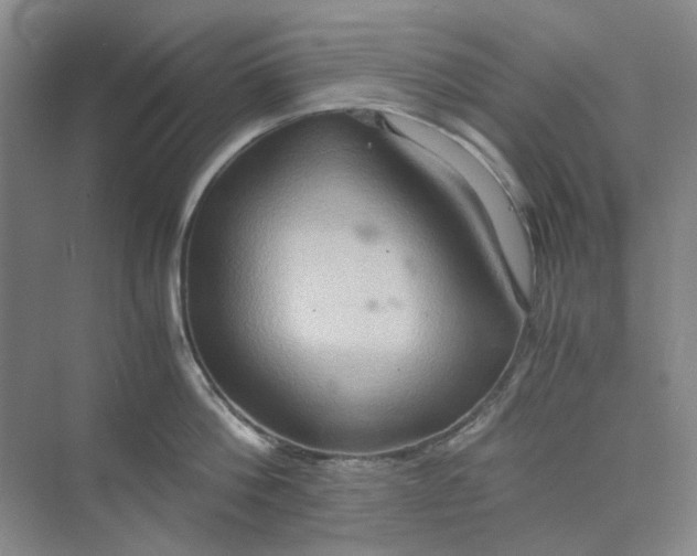 X0000075890812200609291704