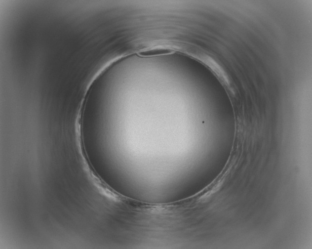 X0000075890814200609291704