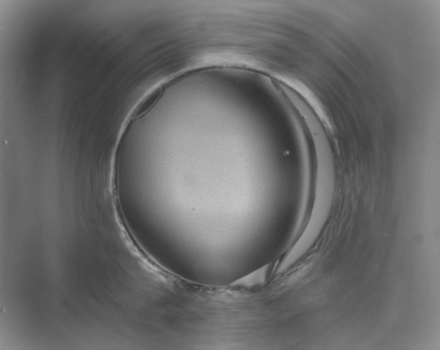 X0000075890815200609291704